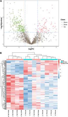 Urinary proteome analysis of acute kidney injury in post-cardiac surgery patients using enrichment materials with high-resolution mass spectrometry